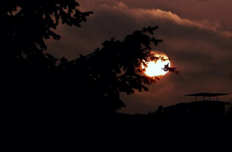 Free stock image of Sunset created by Pixabay