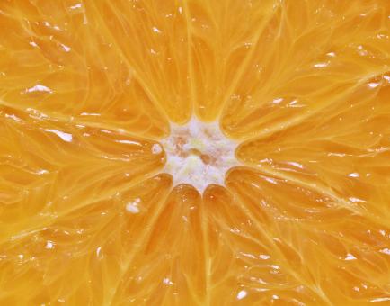 Lemon - Free Stock Photo