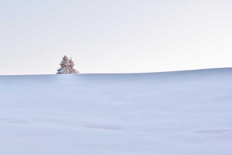 Free stock image of Winter created by Pixabay