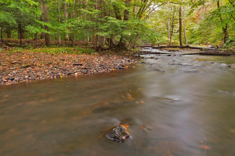 Free stock image of Big Hunting Creek created by Nicolas Raymond