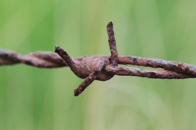 Free stock image of Barbed Wire created by Pixabay