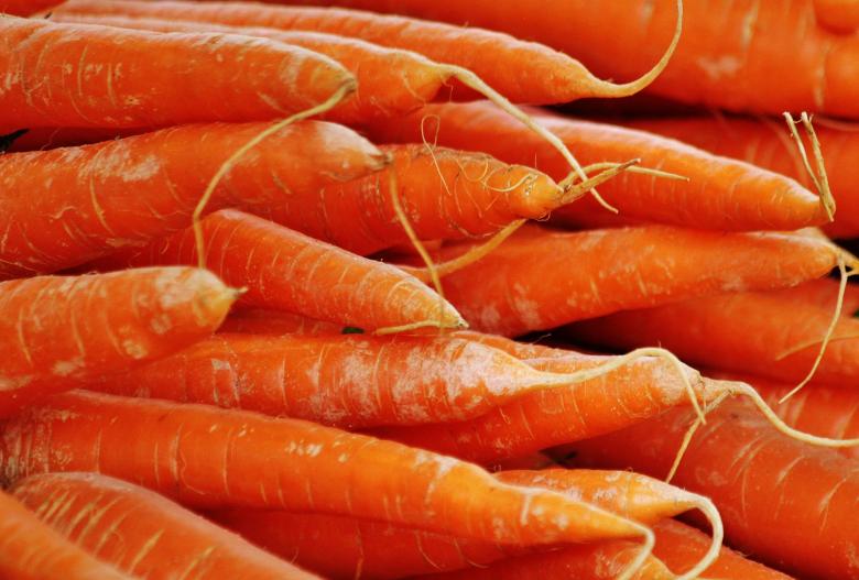 Free stock image of Fresh Carrots created by Pixabay