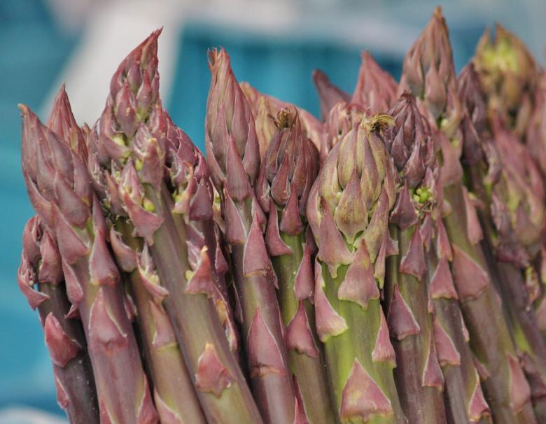 Free stock image of Asparagus created by Pixabay
