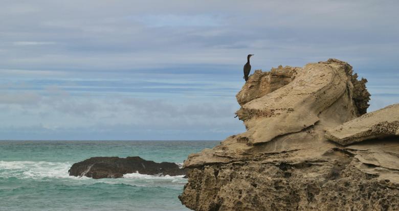 Free stock image of Rocky Shore created by Pixabay