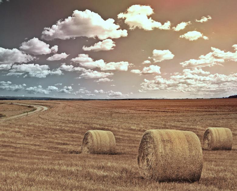 Free stock image of Field created by Pixabay