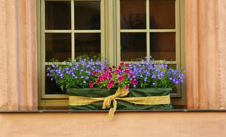 Free stock image of Floral Decoration created by Pixabay