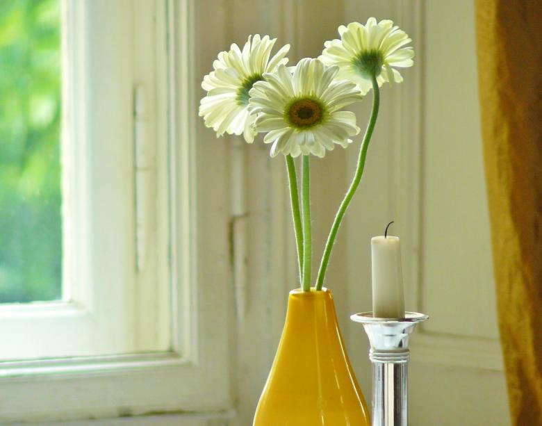 Free stock image of Flowers in the Room created by Pixabay