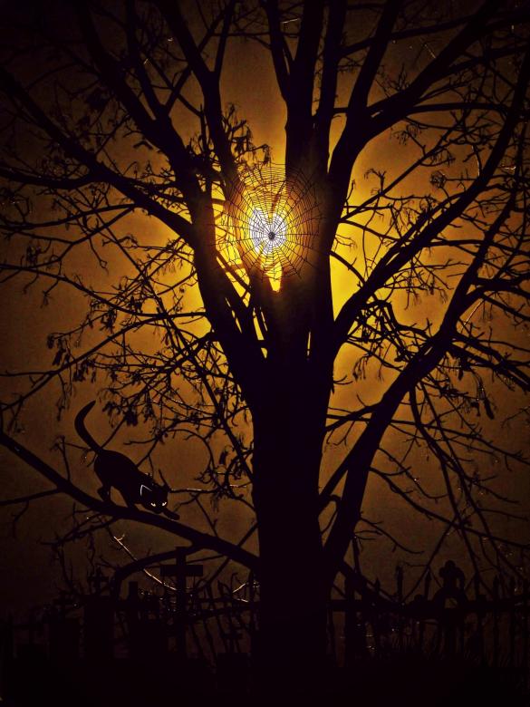 Free stock image of Moon Light created by Pixabay