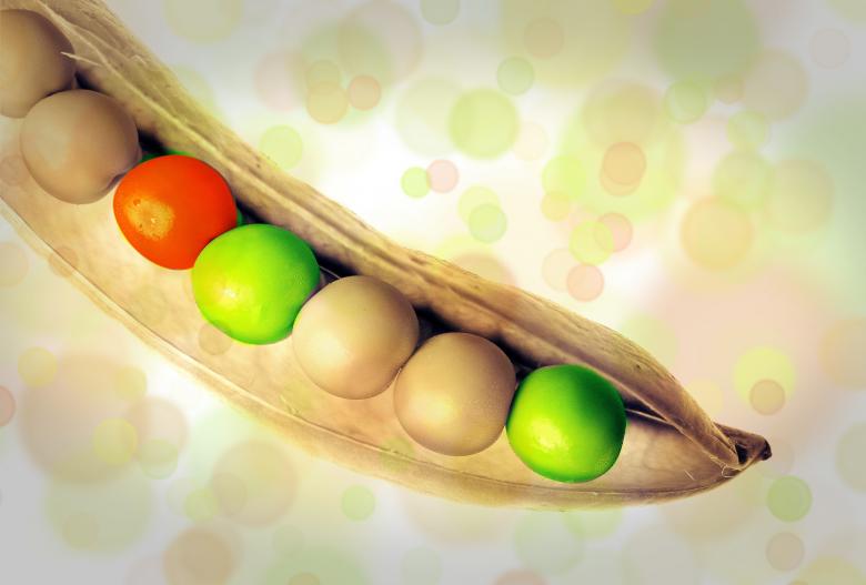 Free stock image of Peas created by Pixabay