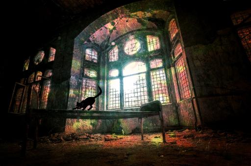 Free Stock Photo of Abandoned Building