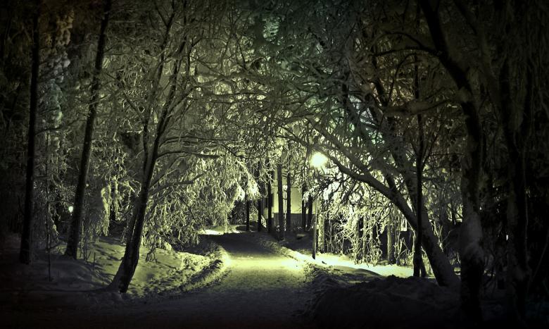 Free stock image of Winter created by Pixabay