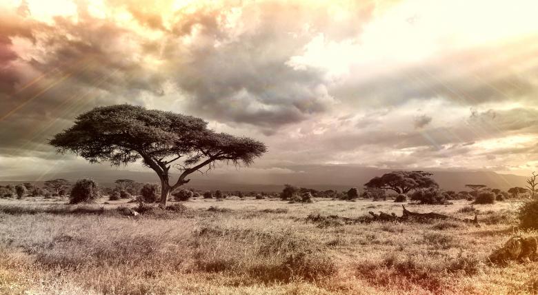 Free stock image of Africa created by Pixabay