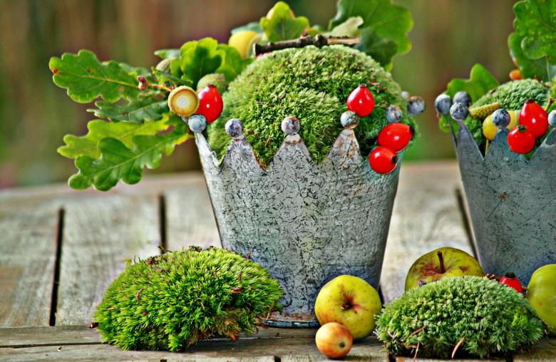 Free stock image of Berries created by Pixabay