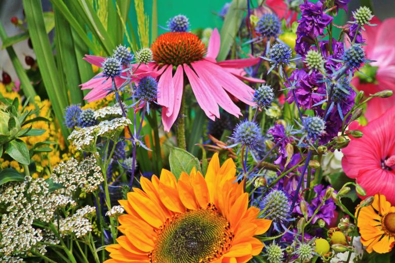 Free stock image of Garden created by Pixabay