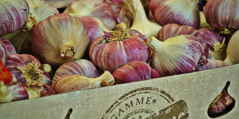 Free stock image of Onion created by Pixabay