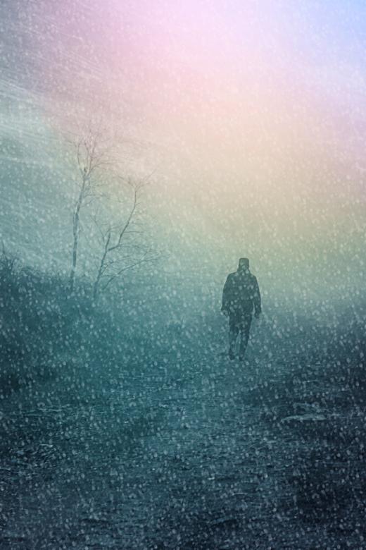 Free stock image of Walking in the Snow created by Pixabay