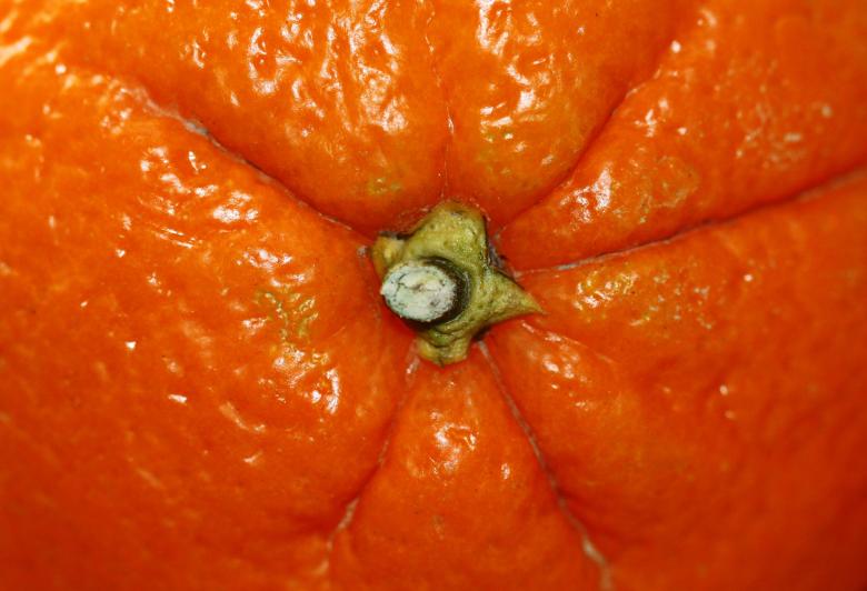 Free stock image of Fresh Orange created by Pixabay