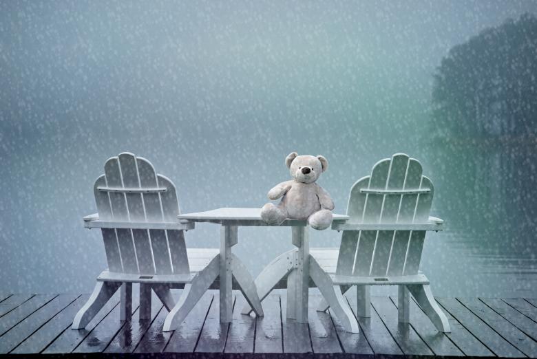 Free stock image of Ted on the Table created by Pixabay