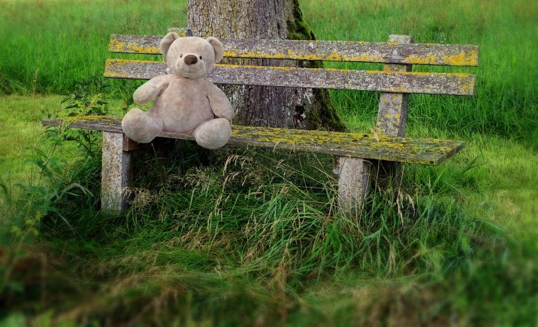 Free stock image of Teddy created by Pixabay