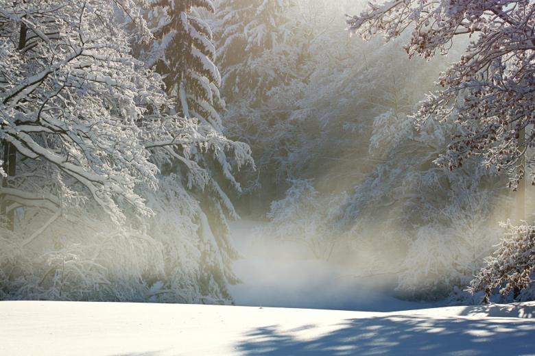 Free stock image of Frozen created by Pixabay