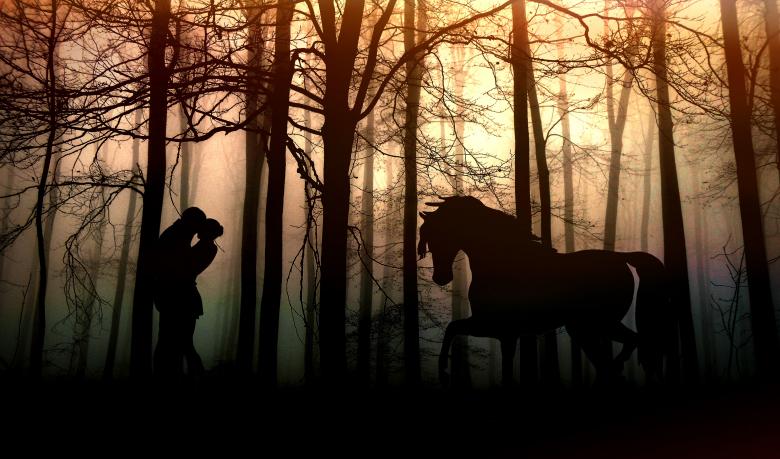 Free stock image of Couple in the Forest created by Pixabay