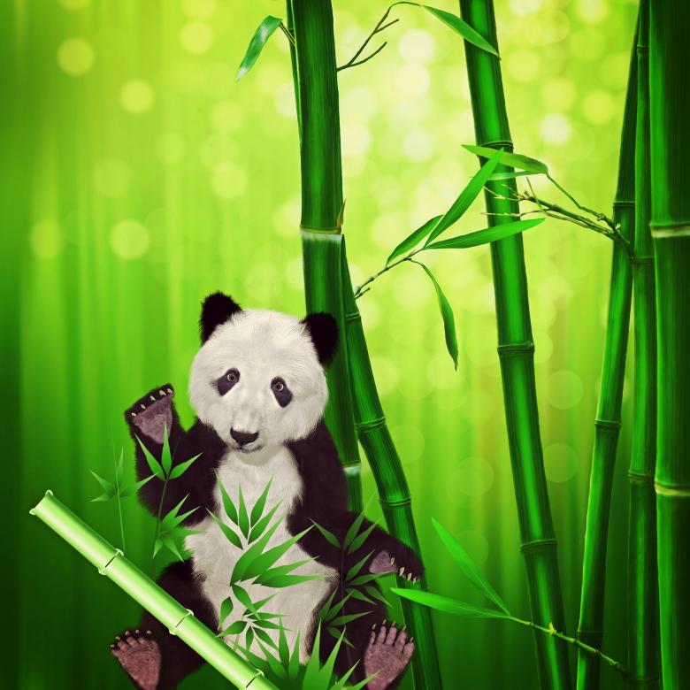 Free stock image of Panda Painting created by Pixabay