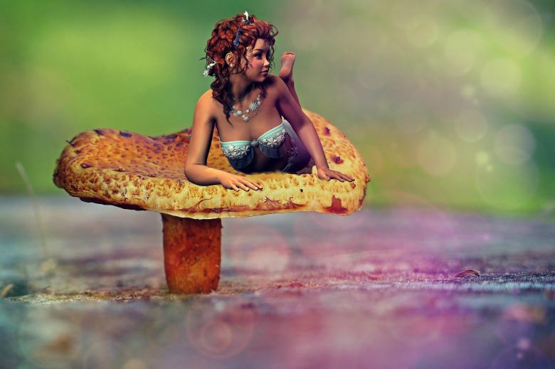 Free stock image of Fairy on the Mushroom created by Pixabay