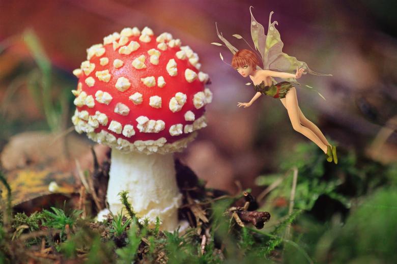Free stock image of Fairy and the Mushroom created by Pixabay