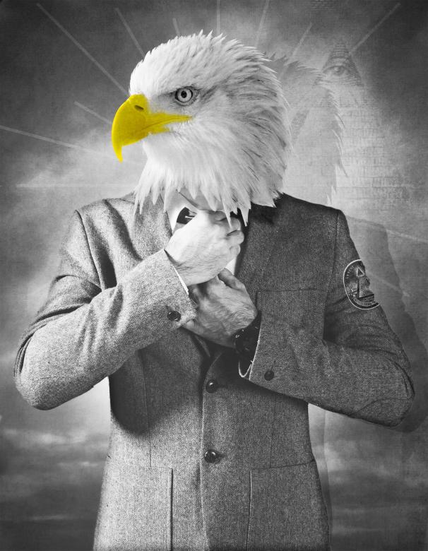 Free stock image of Adler created by Pixabay