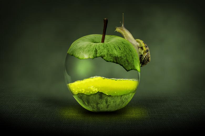 Free stock image of Snail on the Apple created by Pixabay