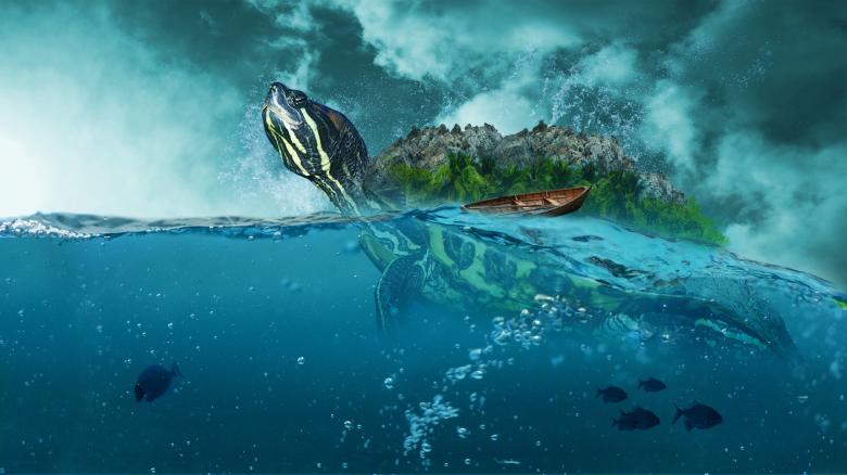 Free stock image of Sea Creature created by Pixabay