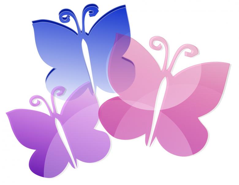 Free stock image of Colorful Butterflies created by Pixabay