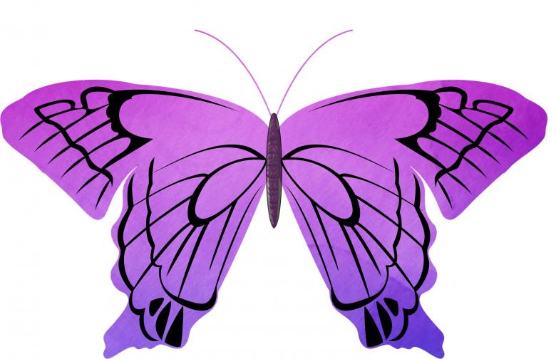 Free stock image of Purple Fly created by Pixabay