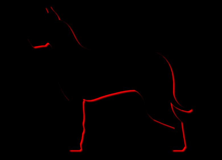 Free stock image of Black Dog created by Pixabay