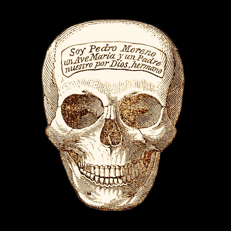 Free stock image of Skeleton Head created by Pixabay