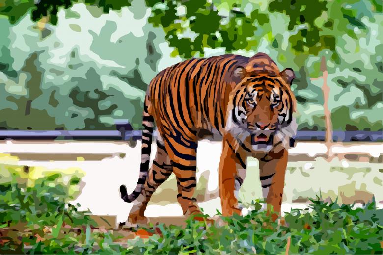 Free stock image of Wild Animal created by Pixabay