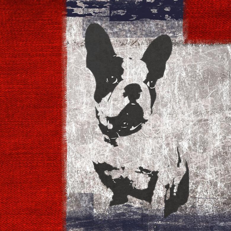 Free stock image of Bull Dog Texture created by Pixabay
