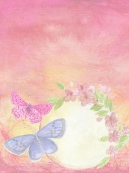 Free Stock Photo of Butterflies in a Garden