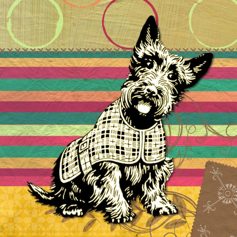 Free stock image of Scottish Dog created by Pixabay