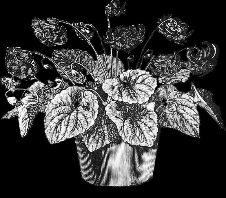 Free stock image of Flower Pot created by Pixabay