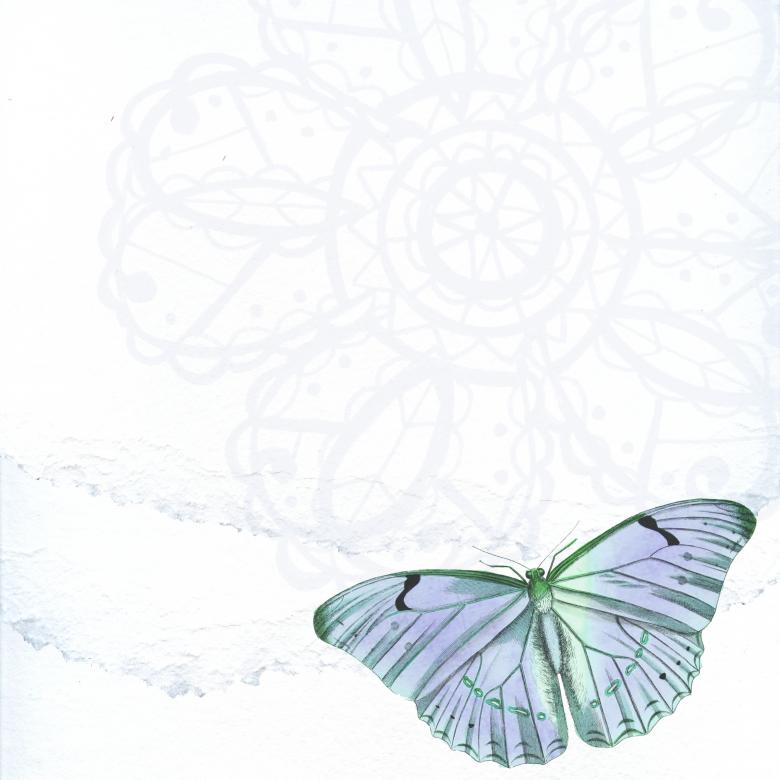 Free stock image of Blue Butterfly created by Pixabay