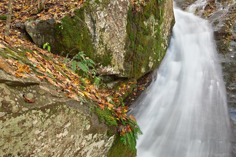 Free stock image of Jones Run Highway Stream - HDR created by Nicolas Raymond