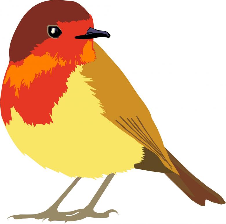 Free stock image of Colorful Bird created by Pixabay