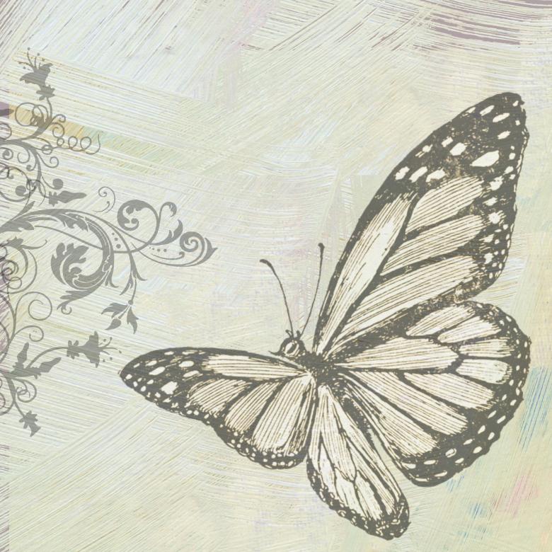 Free stock image of Sketch of a Butterfly created by Pixabay