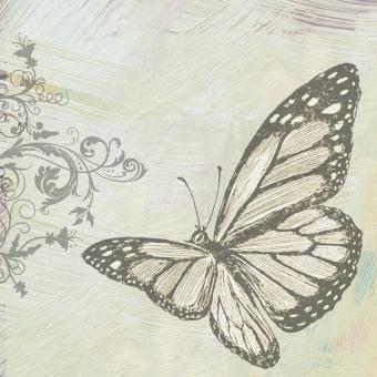 Free Stock Photo of Sketch of a Butterfly
