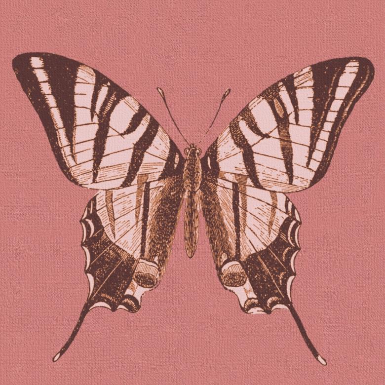 Free stock image of  Pink Background created by Pixabay