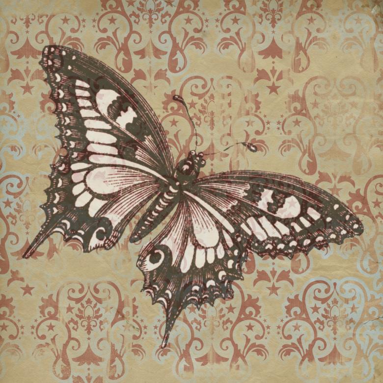 Free stock image of Fly Sketch created by Pixabay