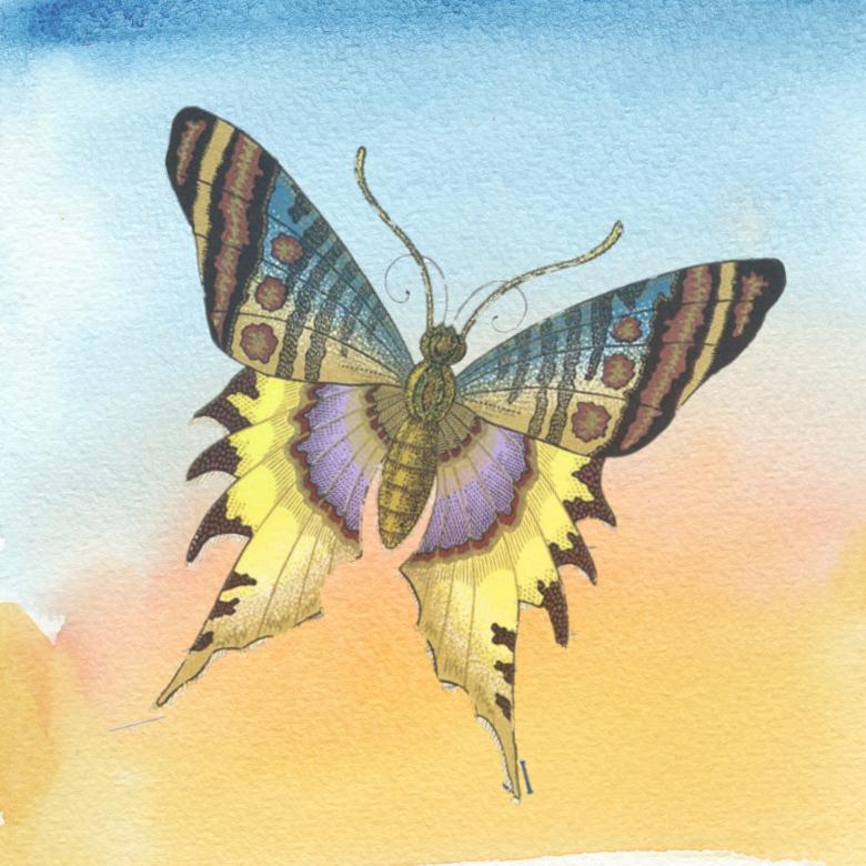 Free stock image of Yellow Butterfly created by Pixabay