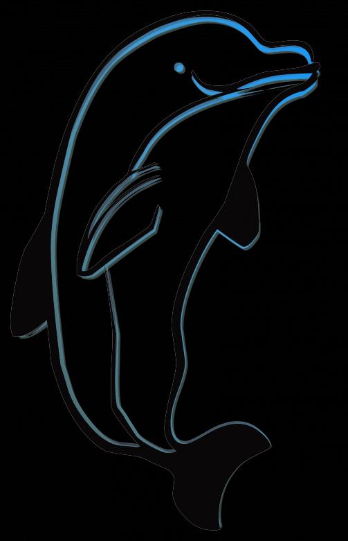 Free stock image of Sea Creature created by Pixabay
