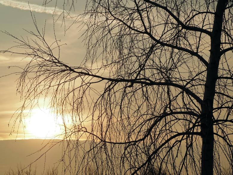 Free stock image of Sun about to set created by Pixabay